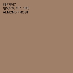 #9F7F67 - Almond Frost Color Image
